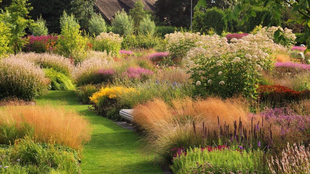 Garden Design Siepi Graminacee