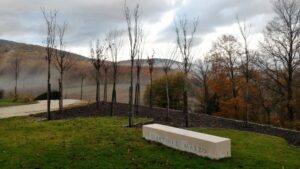 Lago Tenuta dei Ciclamini - I giardini di Marzo" creati precedentemente e composti da Prunus da fiore.