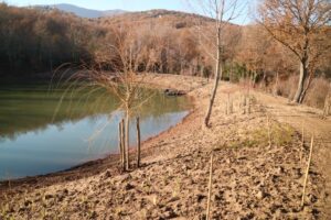 Lago Tenuta dei Ciclamini