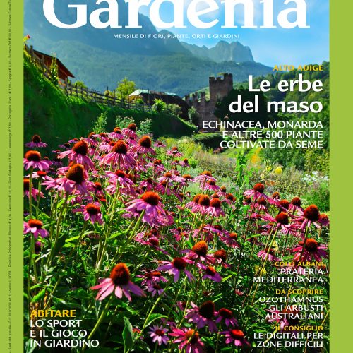 Giardino mediterraneo