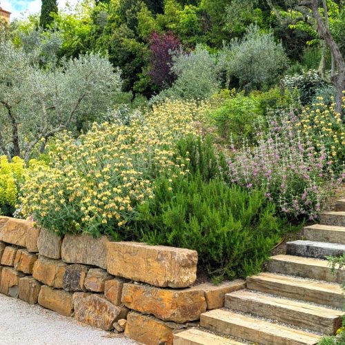 Giardino mediterraneo nel Chianti