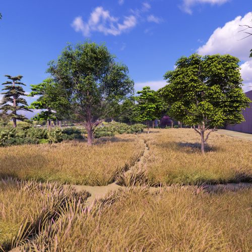 Prateria mediterranea in giardino