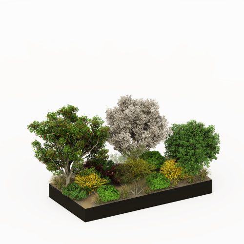 Planting macchia-bosco