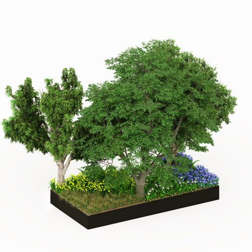 Planting foresta-sottobosco