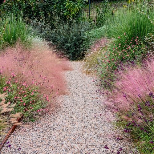 Bordura mediterranea Umbria