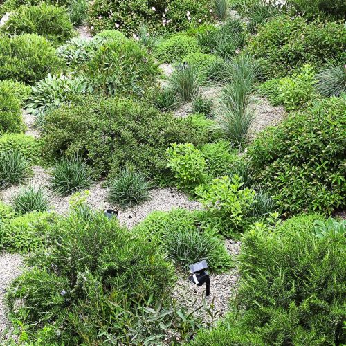 Hotel La Roqqa mediterranean terraces planting design Porto Ercole 2