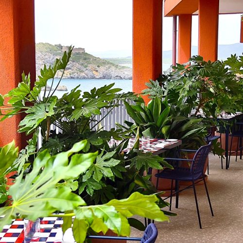 Hotel La Roqqa mediterranean terrace tropical plant