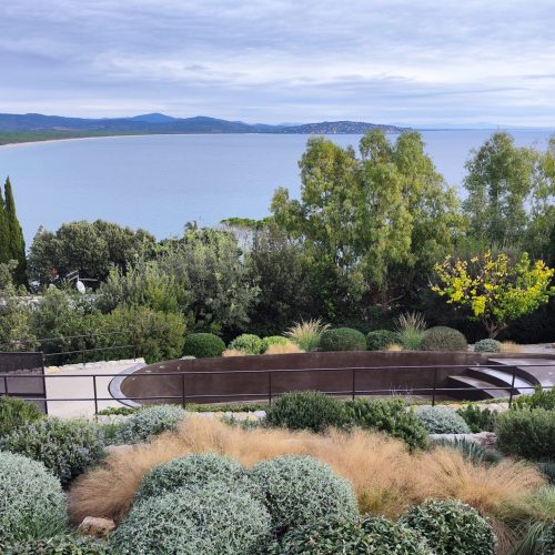 Mediterranean winter garden