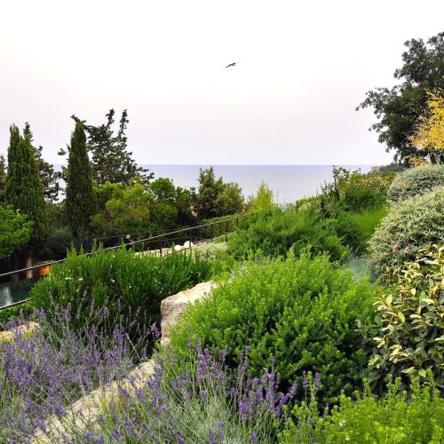 Giardino sempreverde