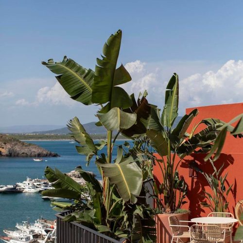 La Roqqa Stefano Assogna Garden Design project 7