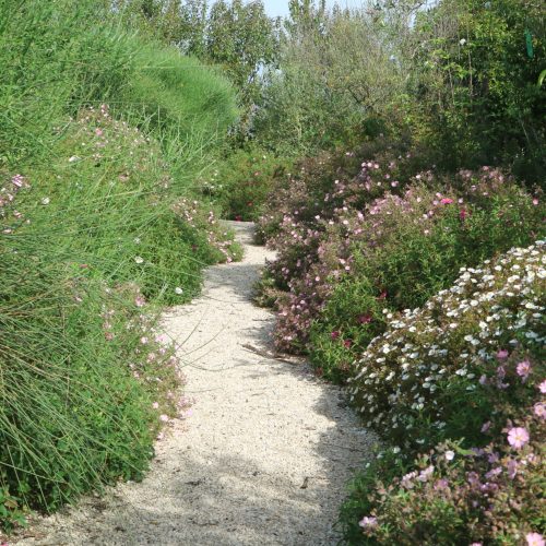 Giardino mediterraneo Roma