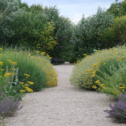 Giardino contemporaneo Roma