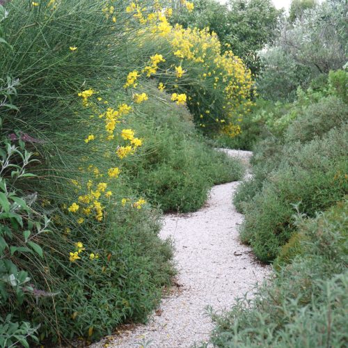Giardino naturalistico Roma