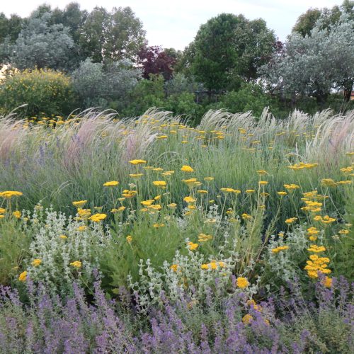 Dynamic garden Italy