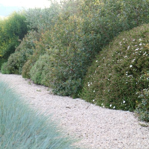 Italian formal garden