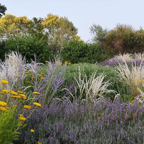 Naturalistic Garden Roma