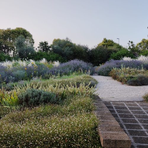 Contemporary garden Italy