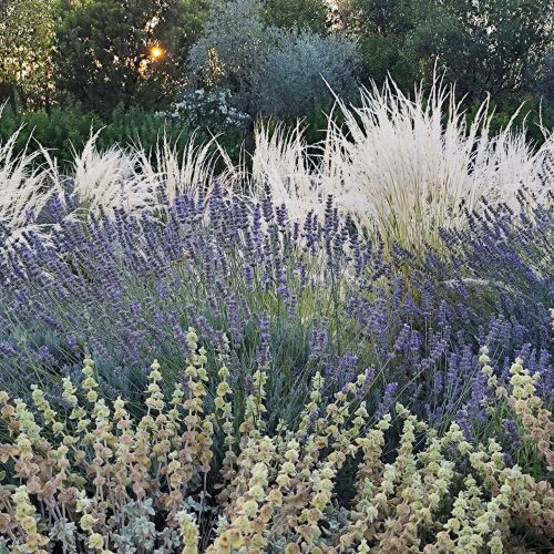 The new italian garden