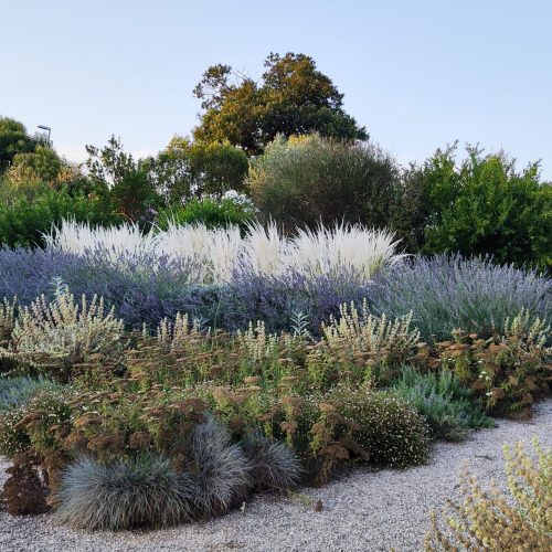 Architettura del paesaggio Roma