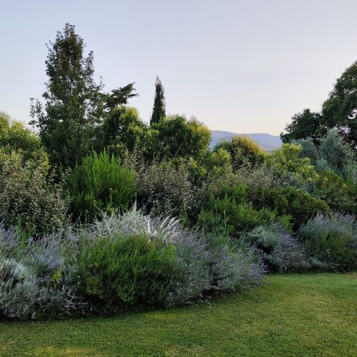 Mediterranean border