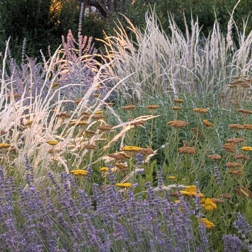 Giardino a bassa manutenzione