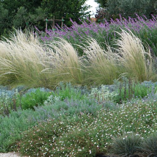 Planting Design Italy