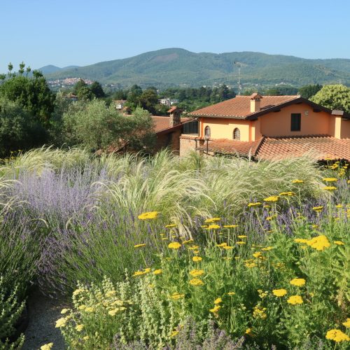 Beautiful garden Rome