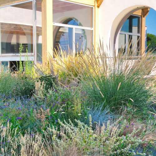 Naturalistic planting Terme Pompeo 2