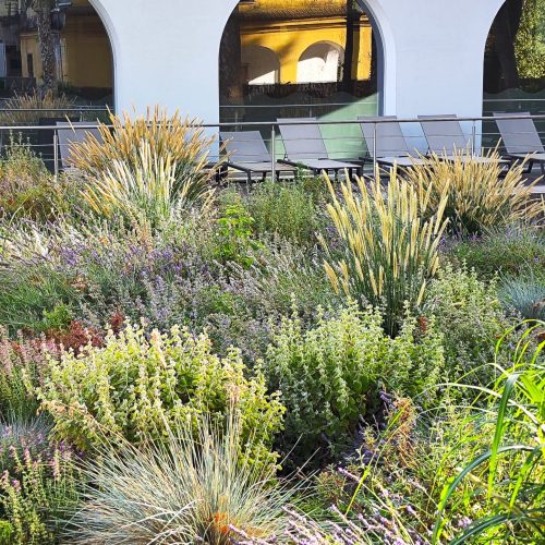 Parco termale Terme Pompeo