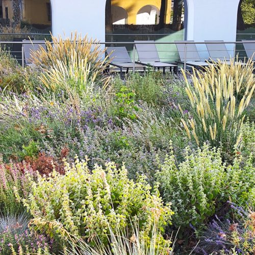 Parco termale Terme Pompeo 1