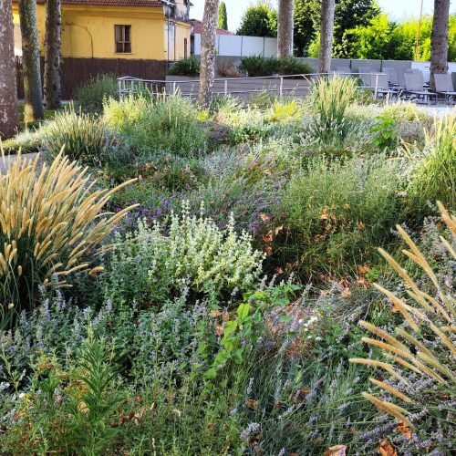 Parco termale Terme Pompeo 2