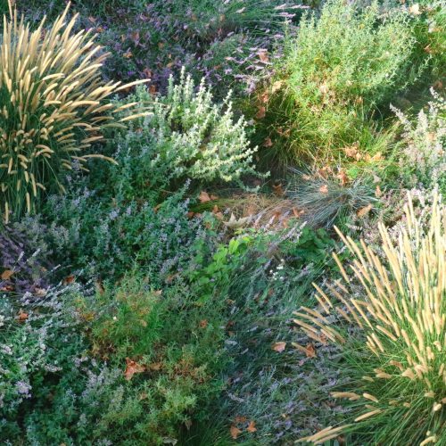 Giardino naturalistico parco termale