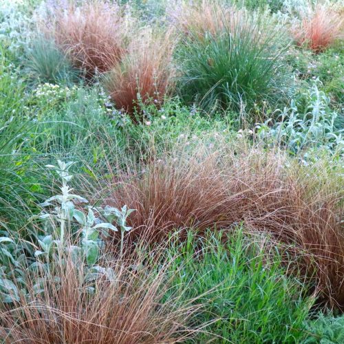 Italian naturalistic garden